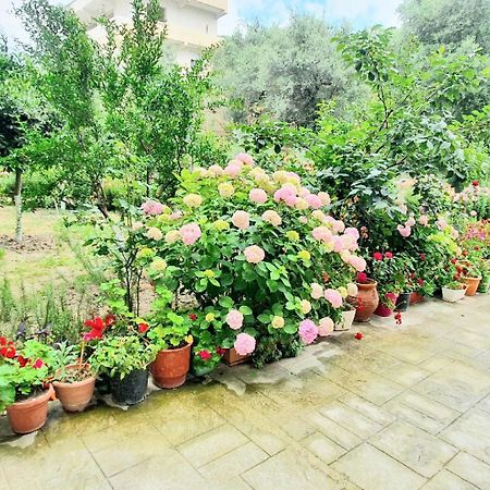Apartament Me Qera Dublex Lungomare Vlorë Eksteriør bilde